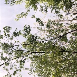 Meet your Posher, Skie